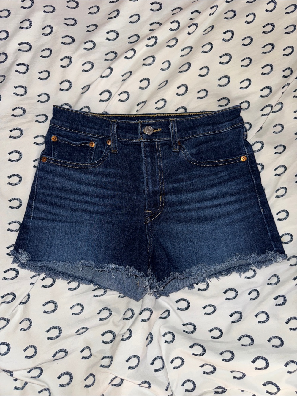 Levi's High Rise Frayed Denim Shorts